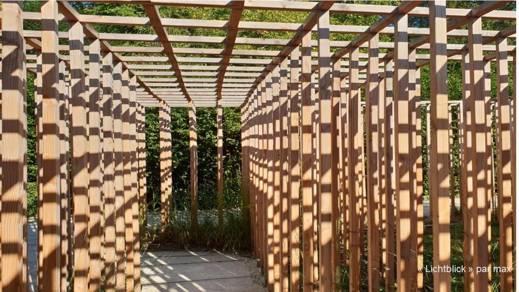 Thumbnail of the "Newsletter février 2021" article