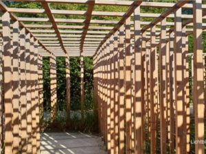 Thumbnail of the "Newsletter février 2021" article